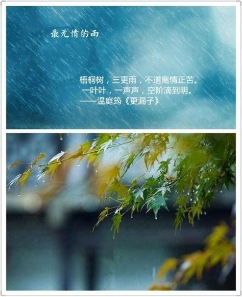 落雨|关于落雨的诗词